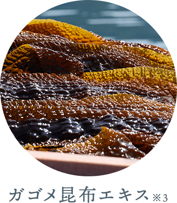 ガゴメ昆布エキス